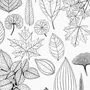 Рисунки листьев