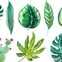 Рисунки листьев