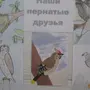 Листовка встречаем пернатых друзей рисунок