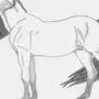 Лошадь Для Срисовки