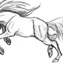 Рисунок лошади карандашом для срисовки
