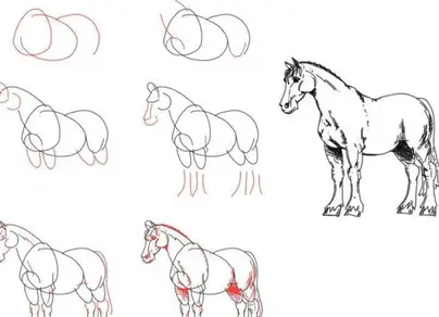 Как легко нарисовать лошадь