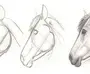 Как Легко Нарисовать Лошадь