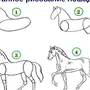 Как Нарисовать Лошадь