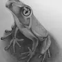 Лягушка Рисунок Карандашом