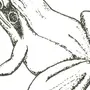 Лягушка рисунок карандашом