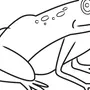 Как легко нарисовать лягушку для детей