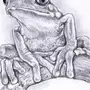 Нарисовать лягушку