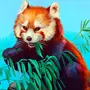 Красная Панда Рисунок