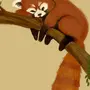 Красная панда рисунок