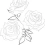 Букет роз рисунок для срисовки