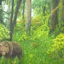 Медведь в лесу рисунок