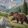 Медведь в лесу рисунок