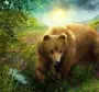 Медведь В Лесу Рисунок