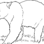 Рисунок медведя карандашом для детей