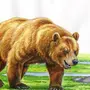 Медведь На Дереве Рисунок
