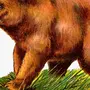Медведь на дереве рисунок