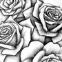 Как нарисовать букет роз