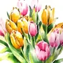 Тюльпаны Рисунок Акварелью