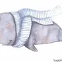 Рисунок кити