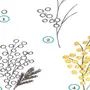 Как нарисовать цветок мимоза