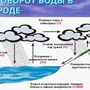 Круговорот воды в природе рисунок