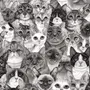 Рисунок много котиков