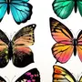 Бабочки Рисунки Цветные