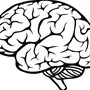 Категория Мозг