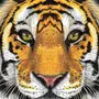 Морда тигра рисунок