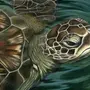 Морская Черепаха Рисунок