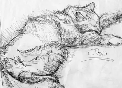 Рисунок кота карандашом
