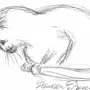 Рисунок кота карандашом