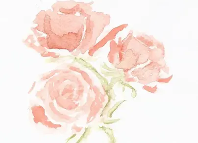 Розовый цветок рисунок