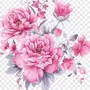 Розовый Цветок Рисунок