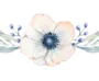Нарисованный цветок на белом фоне