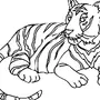 Амурский Тигр Рисунок