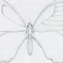 Нарисовать бабочку карандашом легко