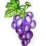 Как нарисовать виноград