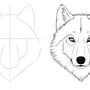 Как нарисовать волка поэтапно