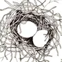 Гнездо С Яйцами Рисунок