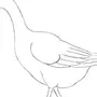 Как нарисовать гуся