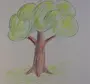 Рисунок дерева 1 класс