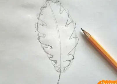 Как нарисовать дубовый лист