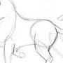 Как легко нарисовать животных