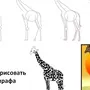 Нарисовать жирафа