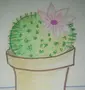 Нарисовать Комнатное Растение