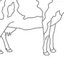 Как нарисовать корову