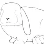 Нарисовать Кролика Карандашом Для Детей