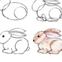 Нарисовать кролика карандашом для детей